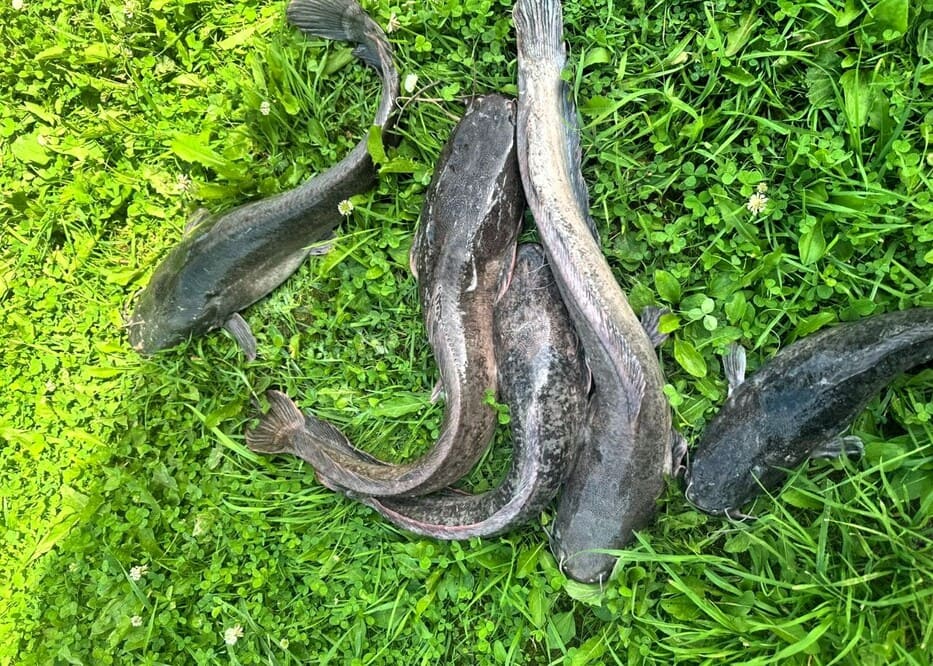 Продажа офиса  